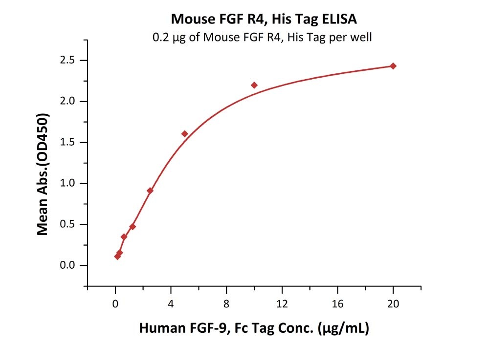 FGF R4 / CD334 Recombinant Protein