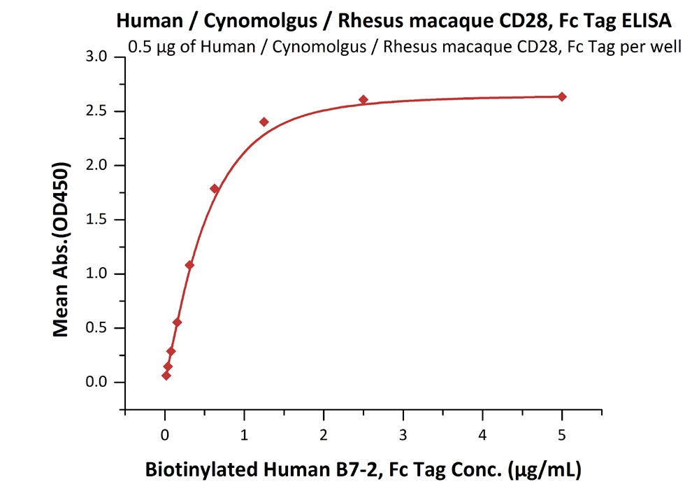 Rhesus macaque CD28 Recombinant Protein