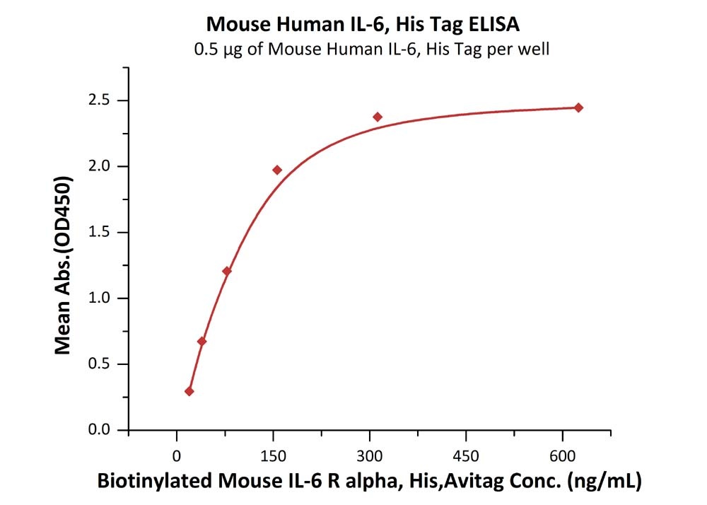 IL-6 Recombinant Protein