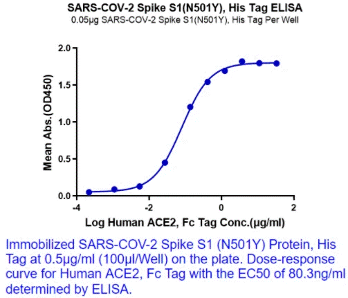 SARS-CoV-2 (COVID-19) UK variant (B.1.1.7) Spike S1 (N501Y) Recombinant Protein