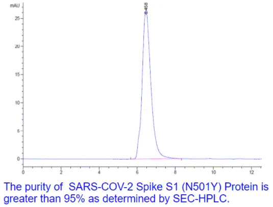 SARS-CoV-2 (COVID-19) UK variant (B.1.1.7) Spike S1 (N501Y) Recombinant Protein