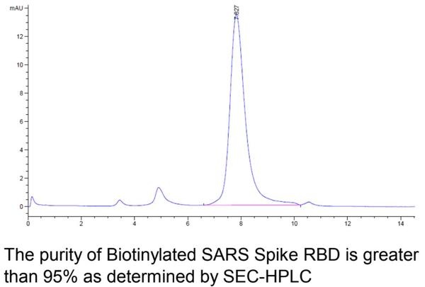 SARS Biotinylated Spike RBD Recombinant Protein