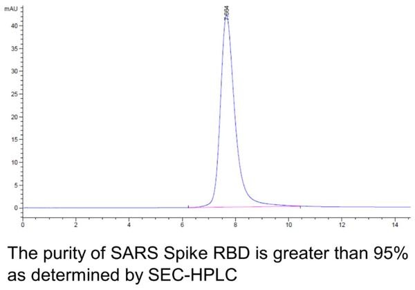 SARS Spike RBD Recombinant Protein