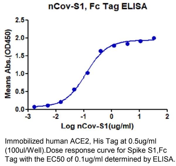 SARS-CoV-2 (COVID-19) Spike S1 Recombinant Protein