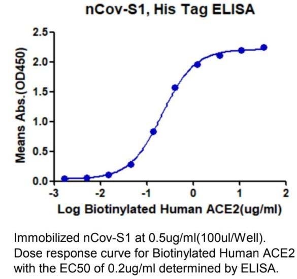 SARS-CoV-2 (COVID-19) Spike S1 Recombinant Protein