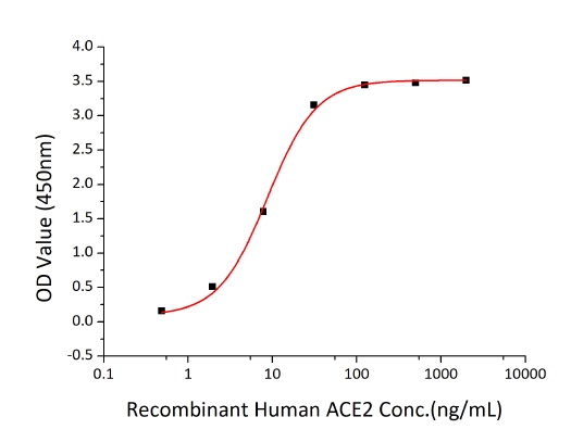 SARS-CoV-2 (COVID-19) Spike S1 Recombinant Protein