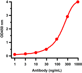 NA Antibody