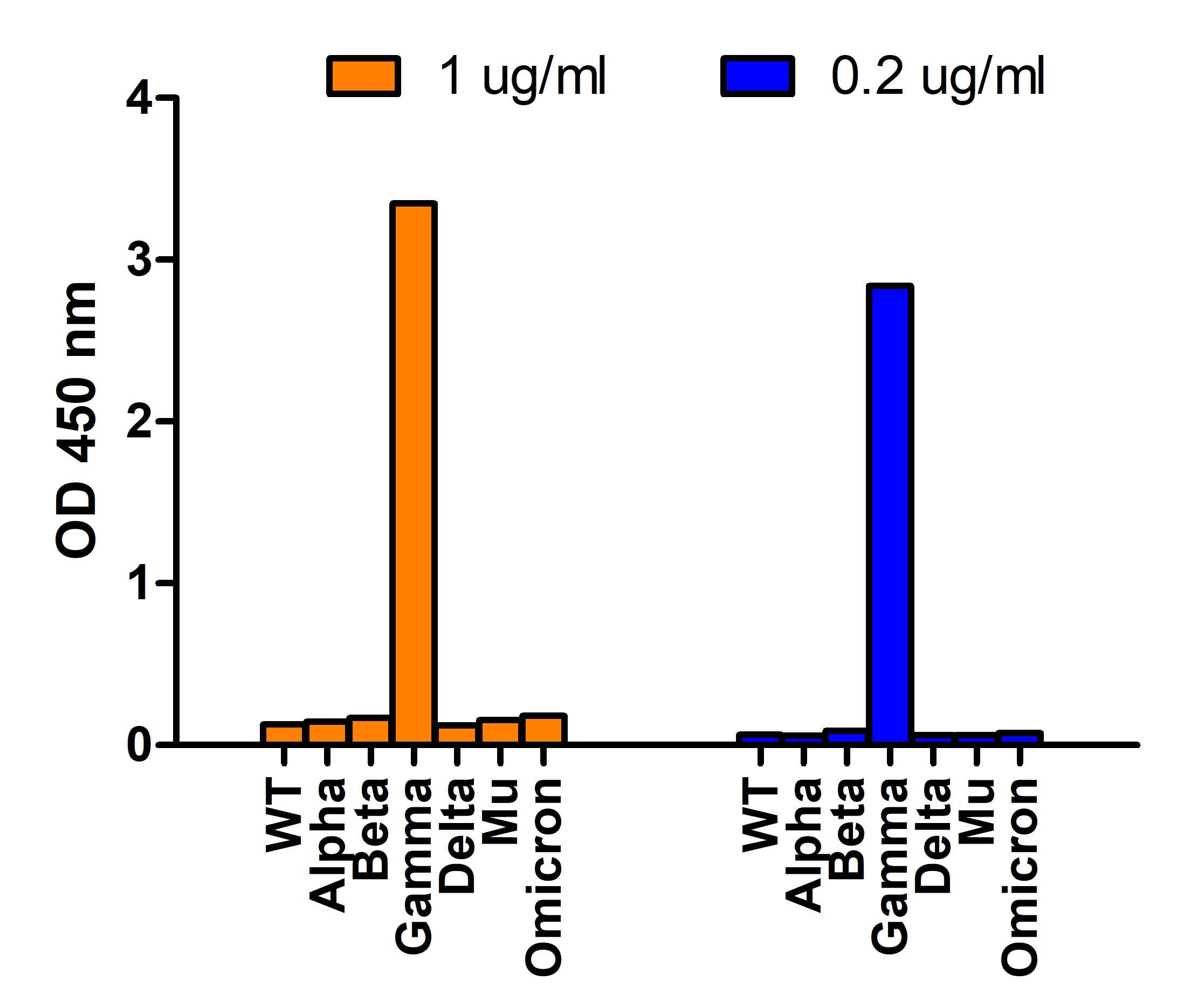 SARS-CoV-2 (COVID-19) Spike P26S Antibody [5G12G11] (Gamma Variant)