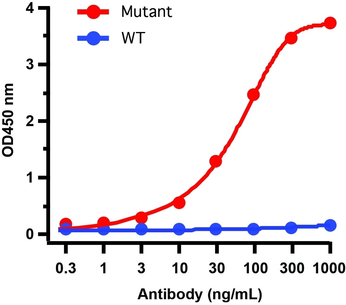 SARS-CoV-2 Spike P681H Antibody [9F7E4] (Alpha, Mu Variant)