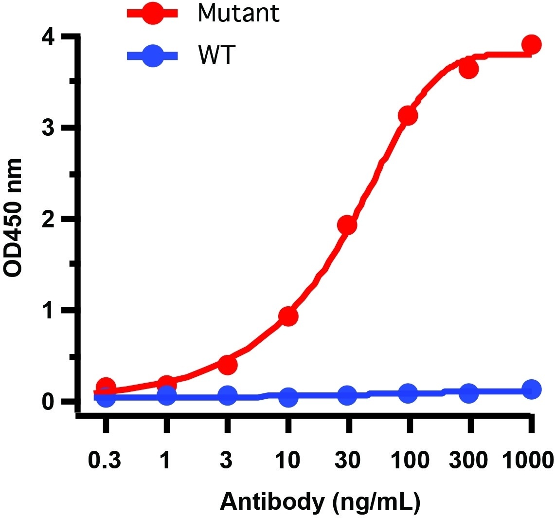 SARS-CoV-2 Spike P681H Antibody [7C11H11] (Omicron, Alpha Variant)