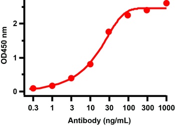 SARS-CoV-2 (COVID-19) Spike S2 Antibody