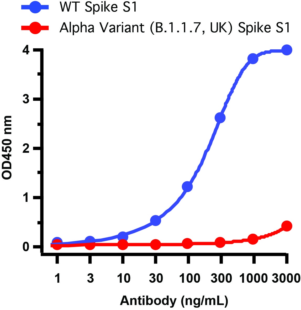 SARS-CoV-2 (COVID-19) Spike 681P Antibody [8G10C8]