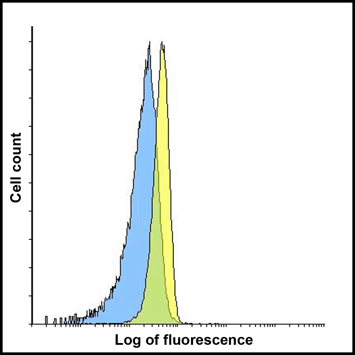 LAG3 Antibody