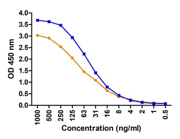 ACE2 Antibody (HRP)