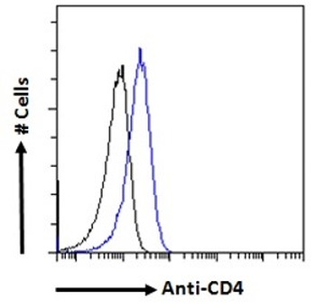 AIFM1 Antibody