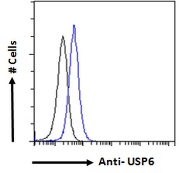 RRAD Antibody