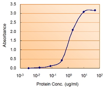 SLC2A4 Antibody