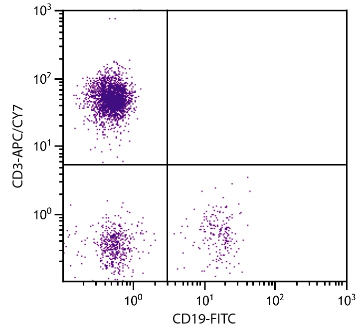 CD3E Antibody (APC/Cy7)
