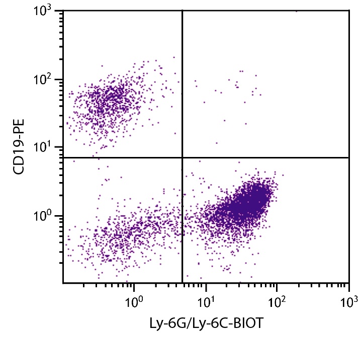Ly6g Antibody (Biotin)