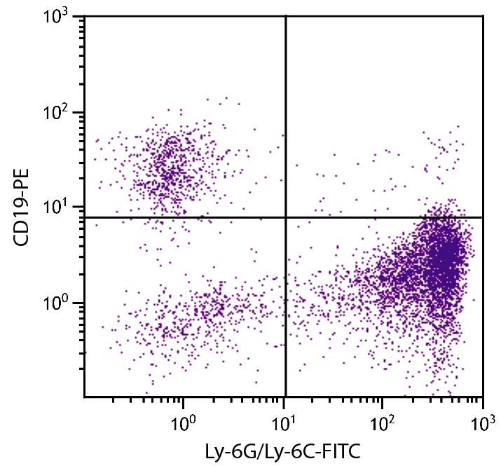 Ly6g Antibody (FITC)
