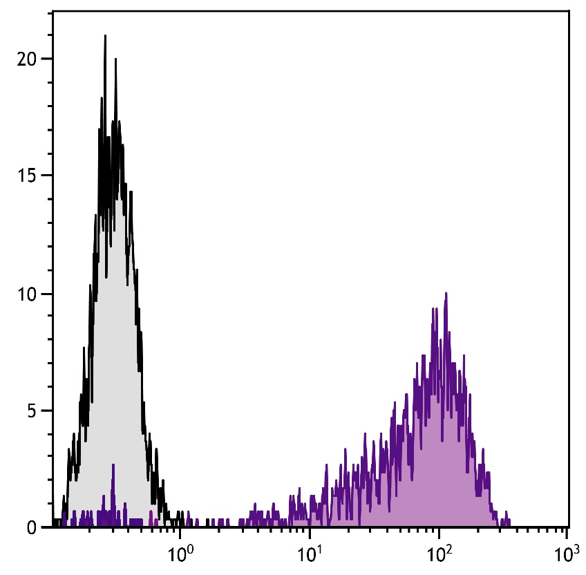 Il2ra Antibody (Biotin)