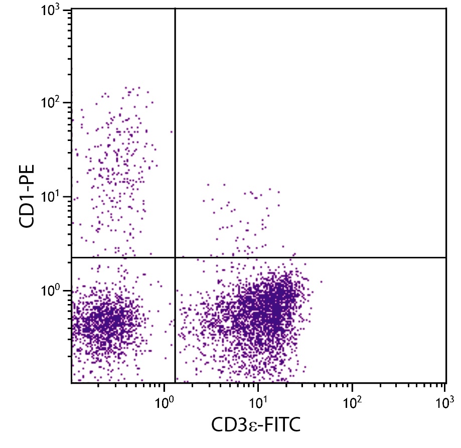 CD1 Antibody (PE)
