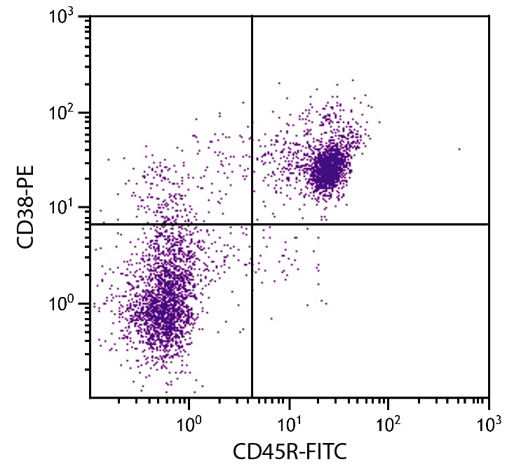Cd38 Antibody (PE)