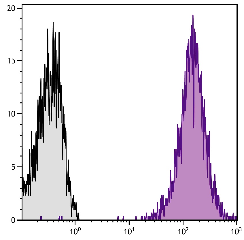 Il2ra Antibody (PE/Cy7)