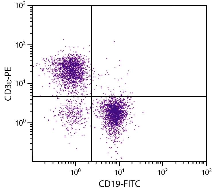 Cd3e Antibody (PE)