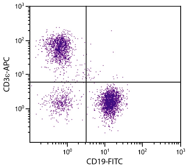 Cd3e Antibody (APC)