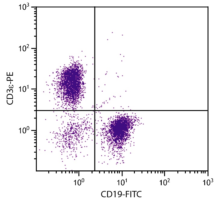 Cd3e Antibody (PE)