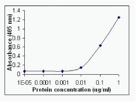 IL6 Antibody