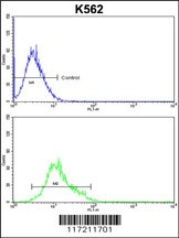 PPID Antibody