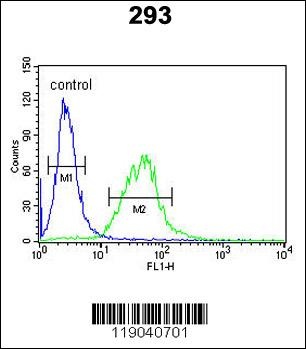 BCOR Antibody