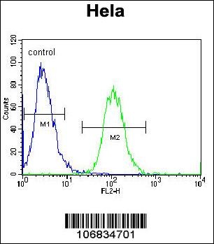 AURKA Antibody