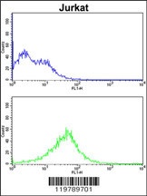 RCBTB2 Antibody