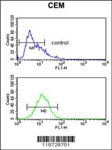 HPX Antibody