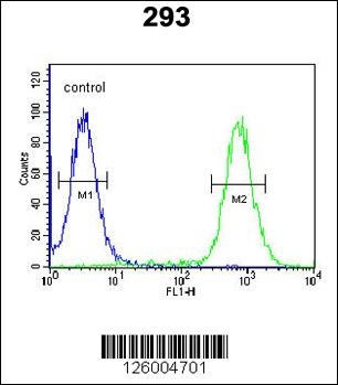 EXOC3L2 Antibody