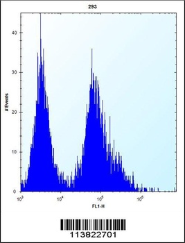 CDKN2B Antibody