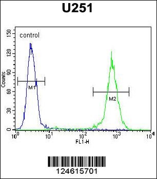 GGTLC2 Antibody