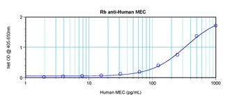 CCL28 Antibody