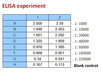 SARS-CoV-2 (COVID-19) Spike RBD Monoclonal Antibody [B003]