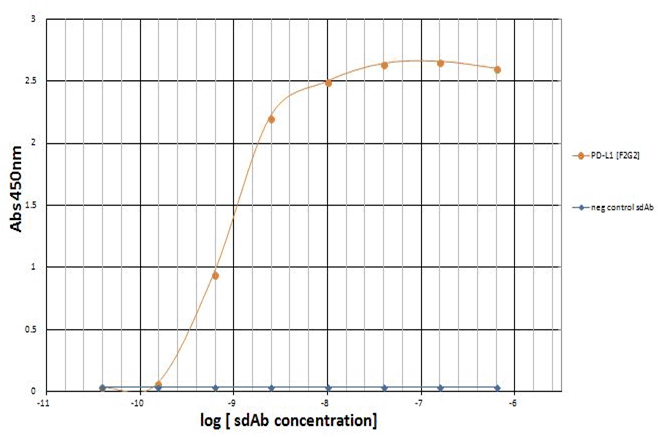 CD274 Antibody