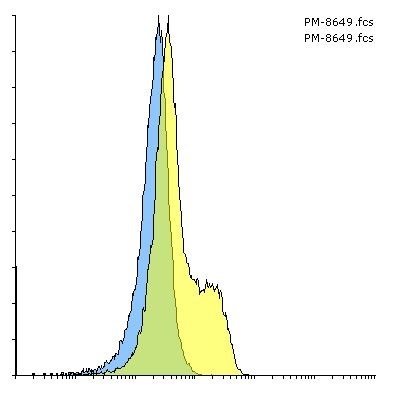 PDCD1 Antibody