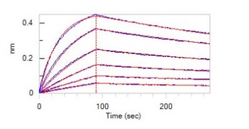 SARS-CoV-2 RBD Potent Neutralizing Antibody, monoclonal, Chimeric