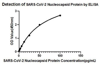 SARS-CoV-2 Nucleocapsid Control Antibody [4A1W0]