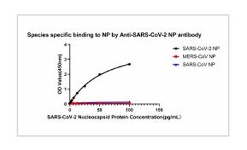 SARS-COV-2 Nucleocapsid Protein Antibody [9A4B3]