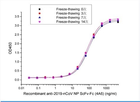 Recombinant SARS-CoV-2 (COVID-19) Nucleocapsid ScFv-Fc Antibody [4A6]
