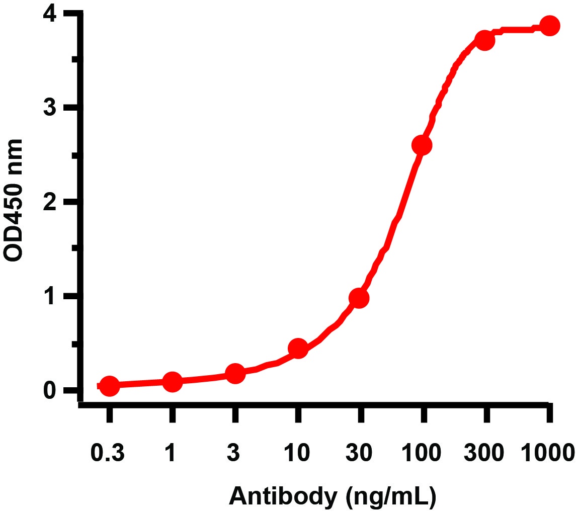 GAG Antibody