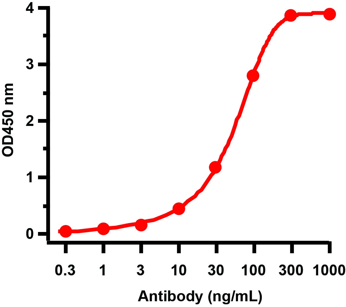 GAG Antibody (Biotin)